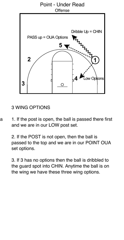 Wing options and dribble up to CHIN transition at the end of the Point Under sequence